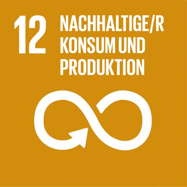 Ziele nachhaltige Entwicklung - Nachhaltiger Konsum und Produktion