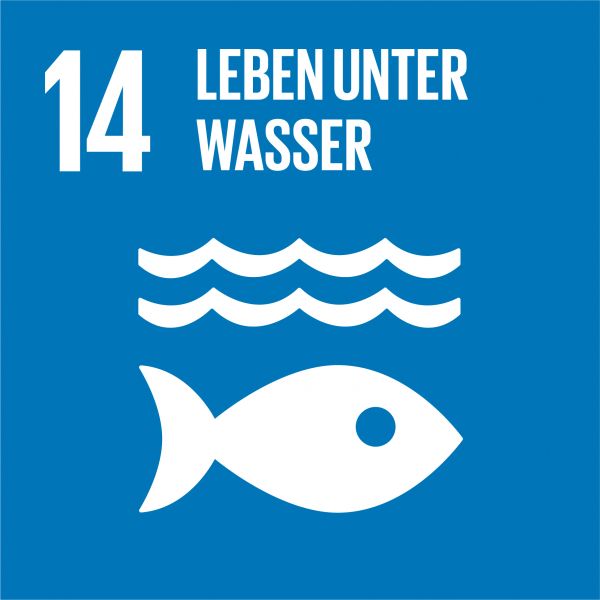 Ziele nachhaltige Entwicklung - Leben unter Wasser