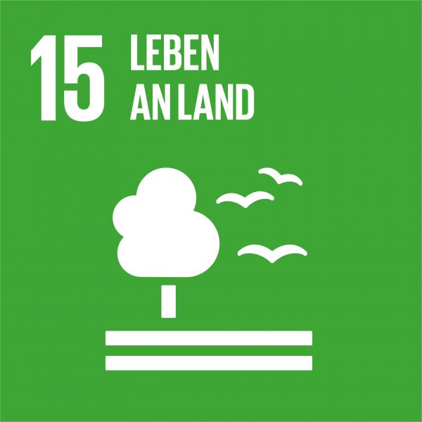 Ziele nachhaltige Entwicklung - Leben an Land