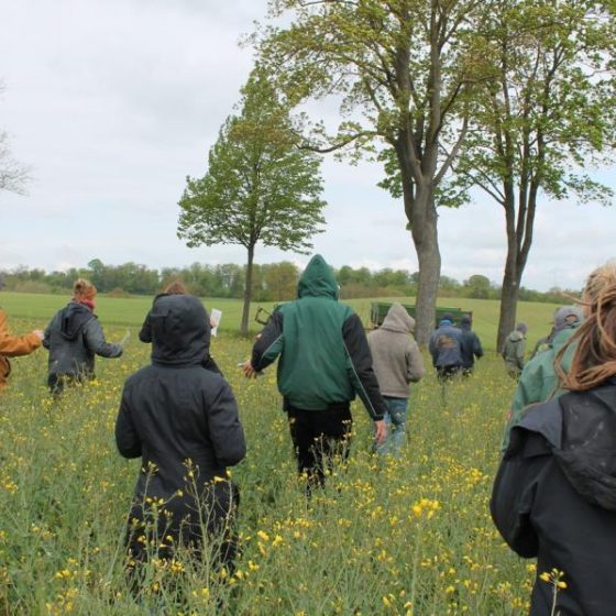 Bericht aus dem 1. Lehrjahr – Juni 2019