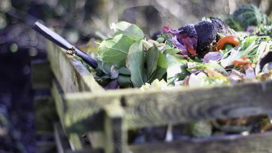 gesammelter Kompost im Garten