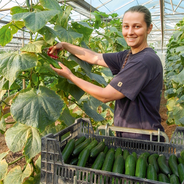 Teilnehmerstimmen Biodynamische Ausbildung